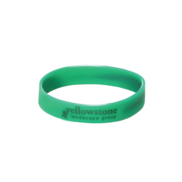 Insect Repellent Bracelet Brand IQ Employee Gift Ideas In Webster   Asi300932778 600x 